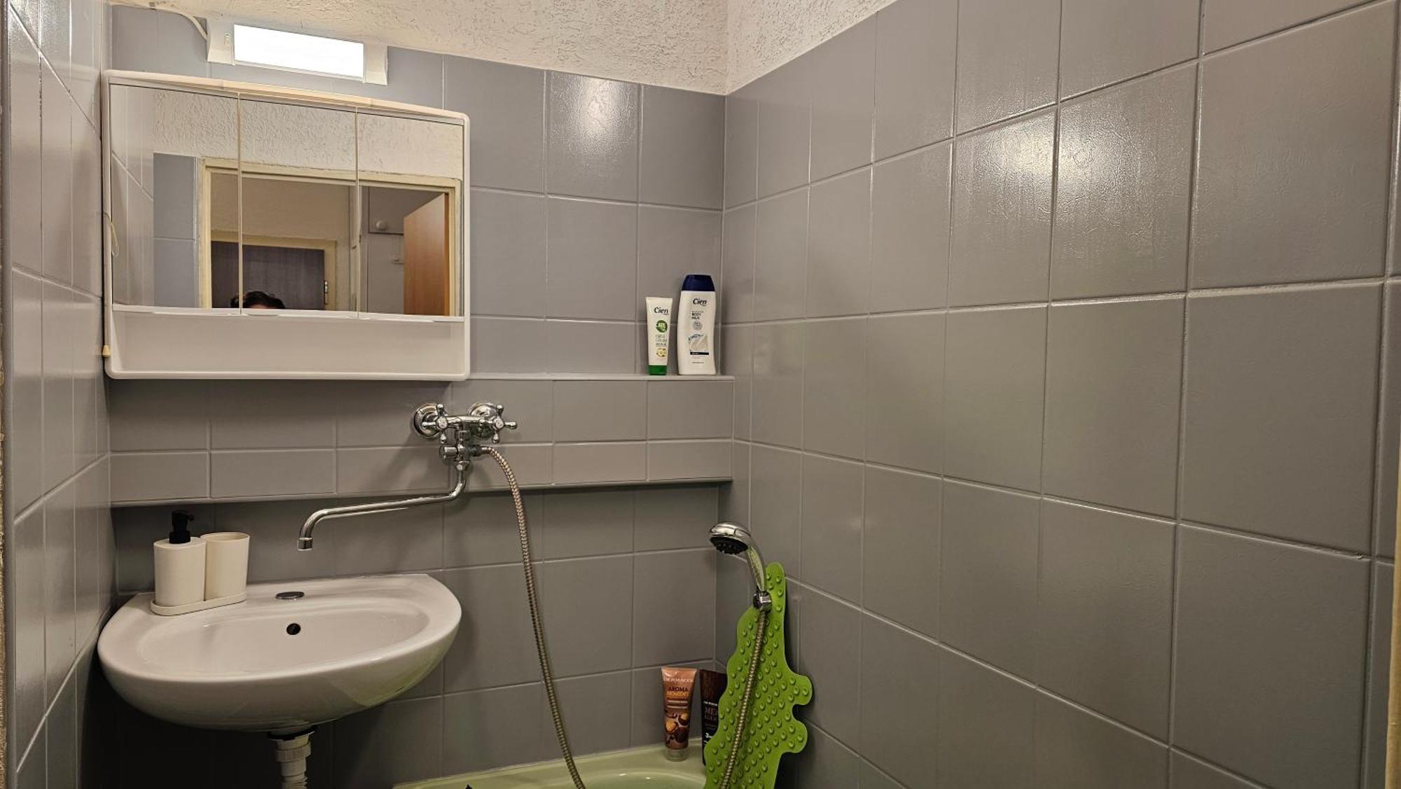 Horska Vyhlidka Apartment Tanvald Bagian luar foto